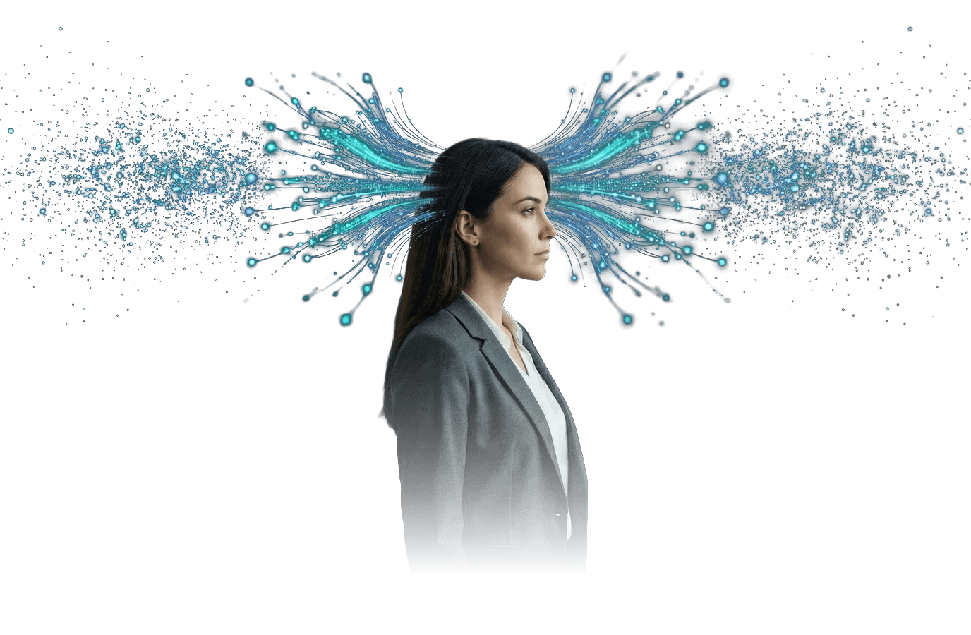 Brain Map Visualization